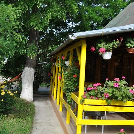 Pensiunea Rustic Eforie Sud  Ngoại thất bức ảnh